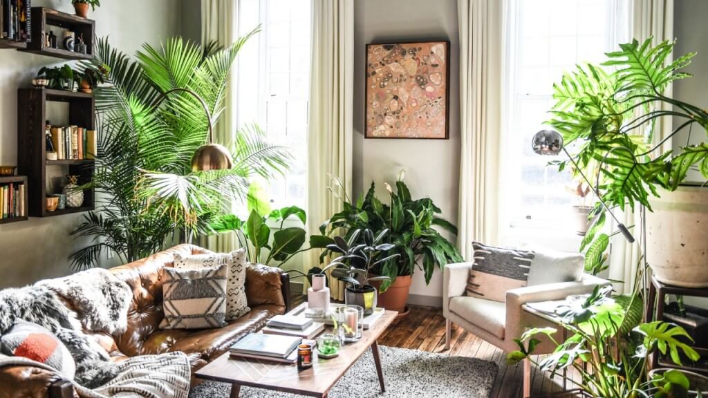 Include Indoor Plants In Your Home Decor