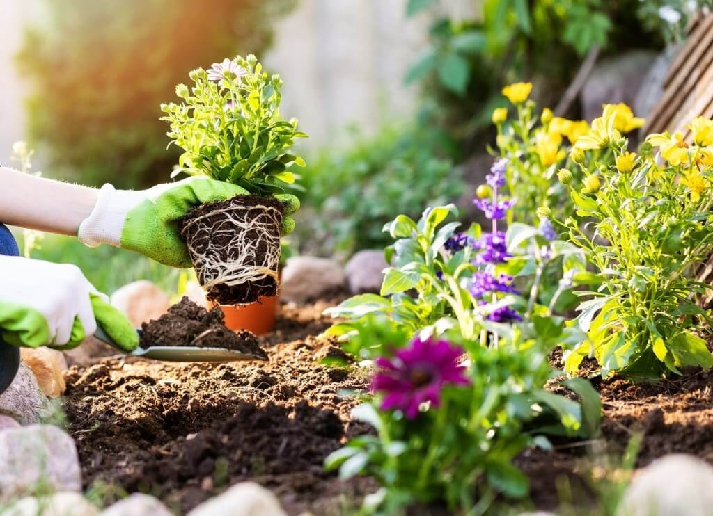 Easy Gardening Tips And Tricks