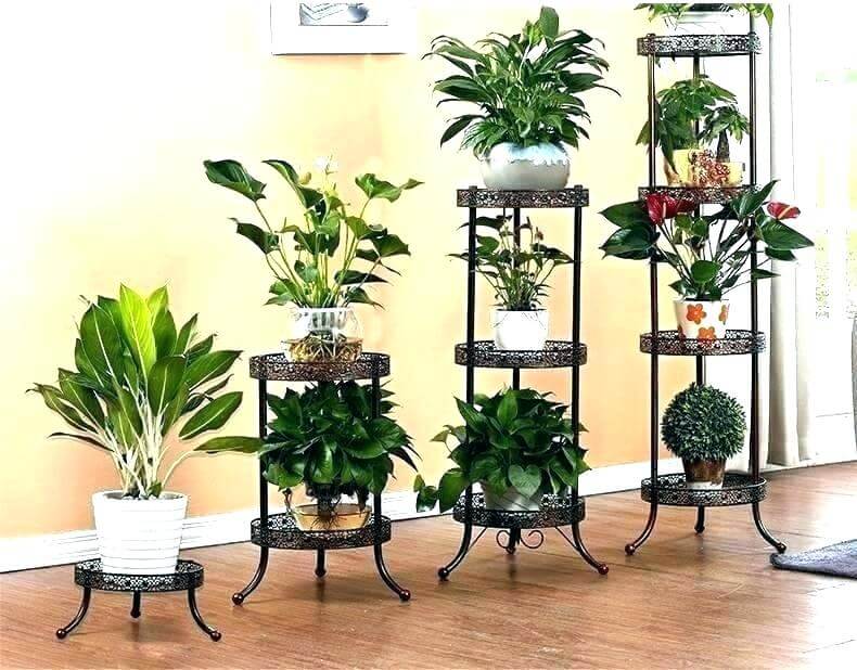 Unique Planters and Pot Stands