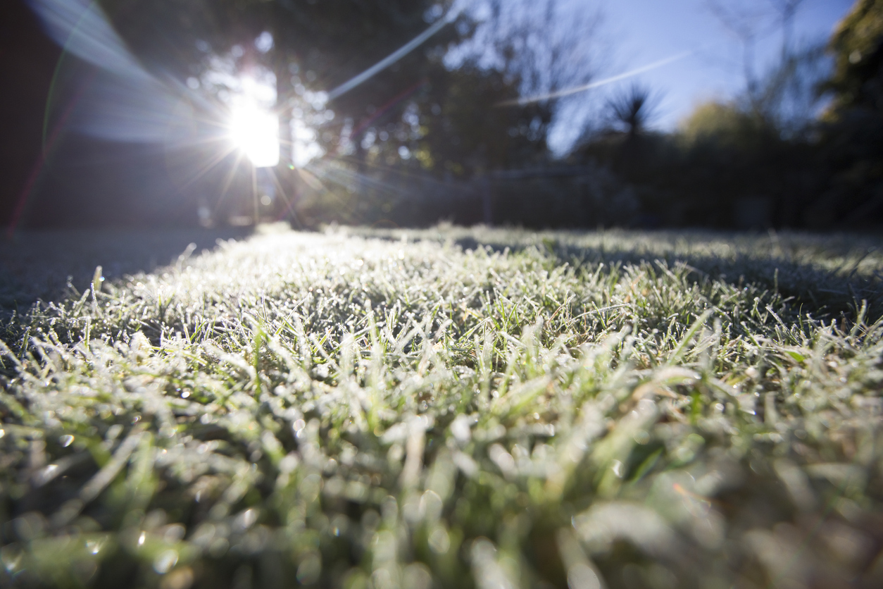 Frost covered lawn in winter, UK