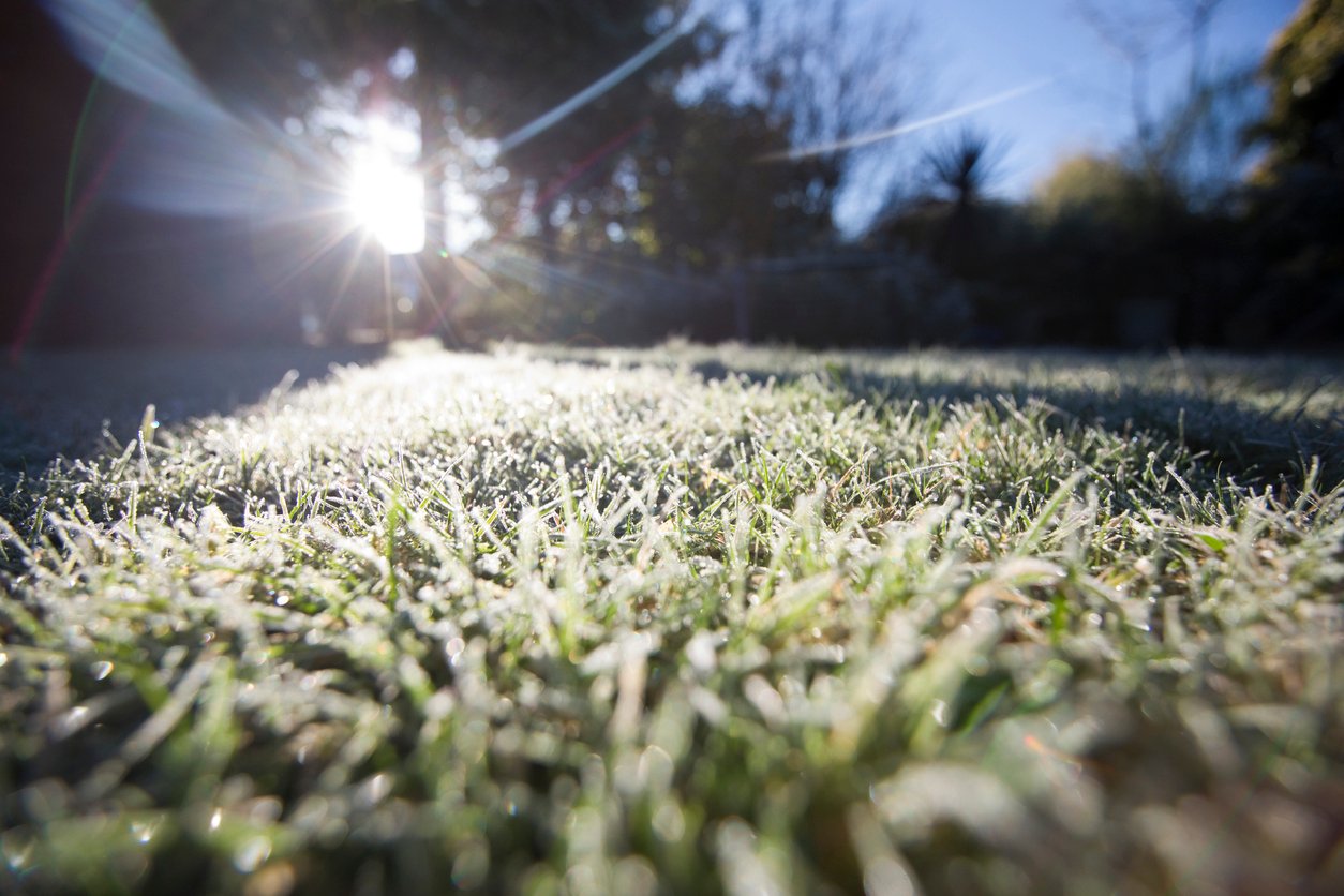 Do You Need to Do Lawn Care in Winter?