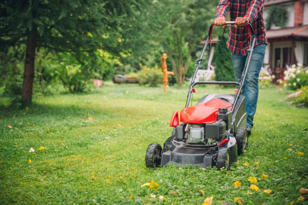 Is Lawn Care Really Necessary? Latest Home & Garden