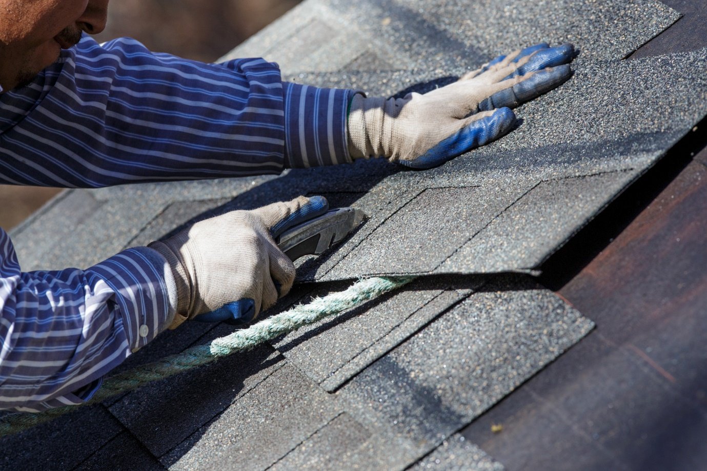 Roof Maintenance