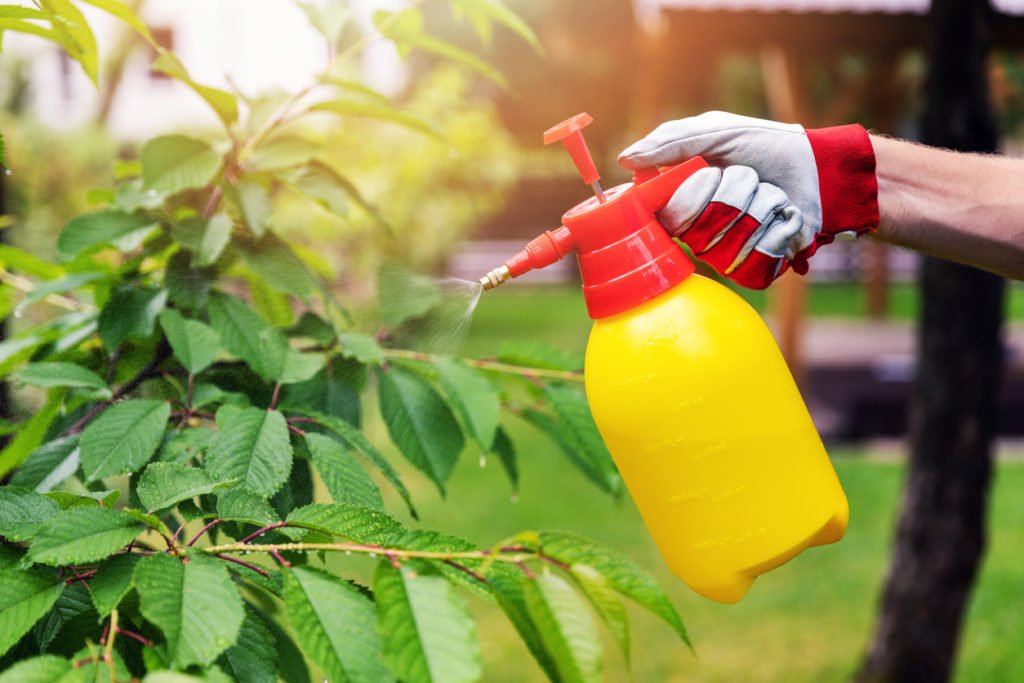 Major Benefits of Pesticides Everyone Needs to Know