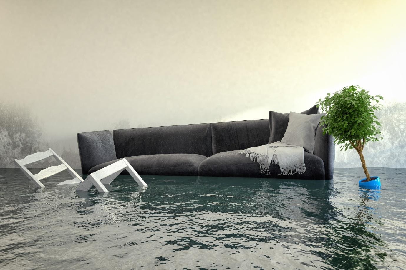 Apres Le Deluge: What to Do After a Flood in Your Home